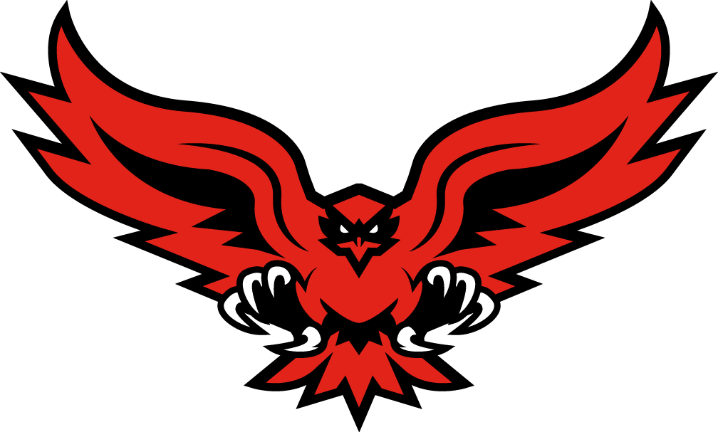 Hartford Hawks 2015-Pres Alternate Logo v2 iron on transfers for T-shirts